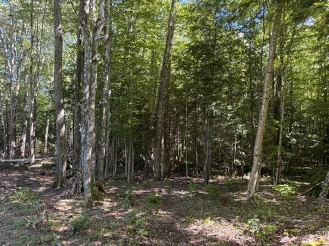 Land, Jackson, NH