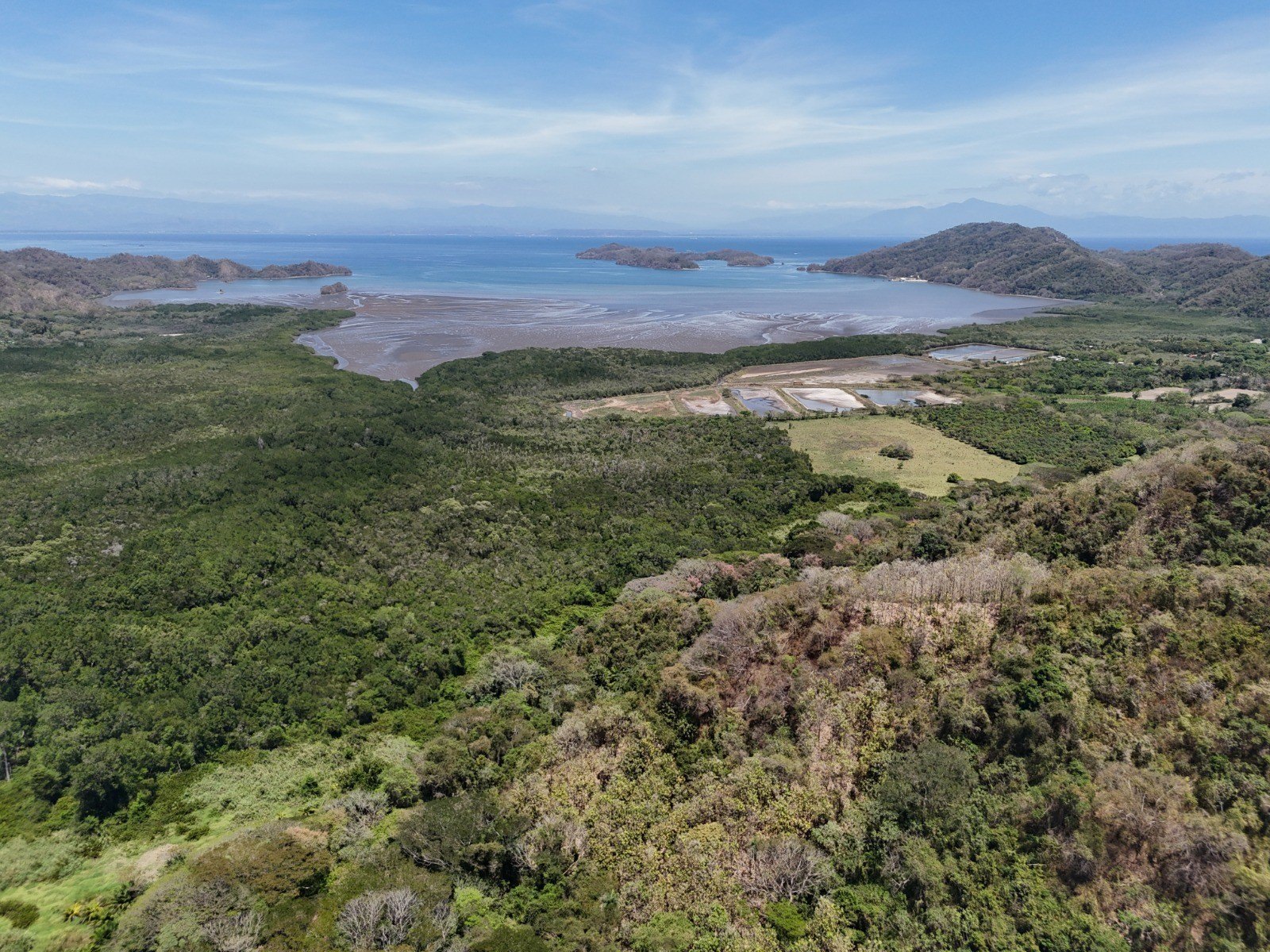 Large Land Parcel with Teak