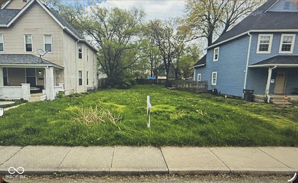 Picture 3