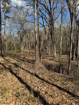 Broken Bow Acre Lot Opportunity