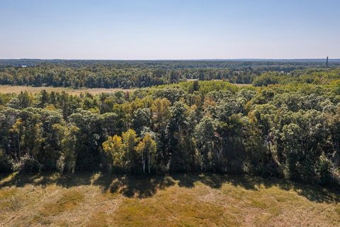 Wooded Lots Near Baxter City