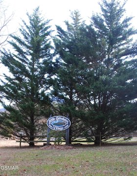 LAND - Sevierville, TN