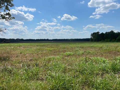 Development-Ready Land Parcel