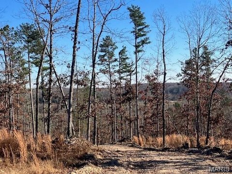 Wooded Acreage Near National Forest