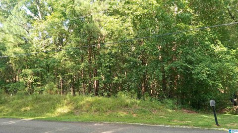 LAND/LOTS, LAKEVIEW, AL