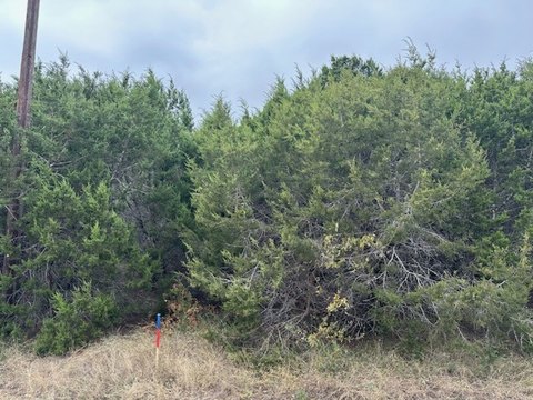 Residential Lot in White Bluff