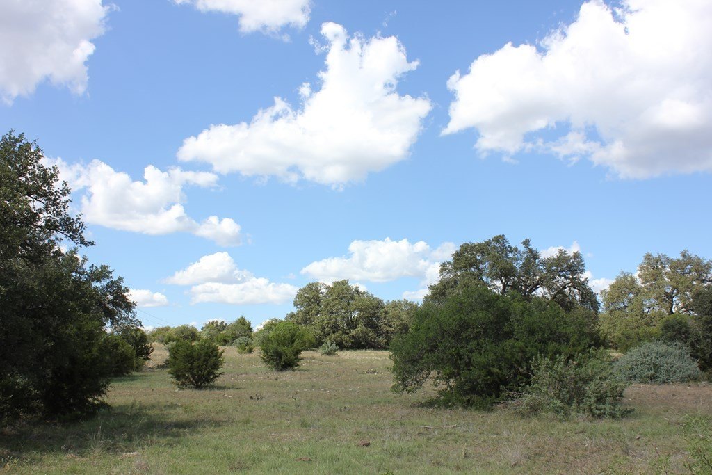 Picture 20