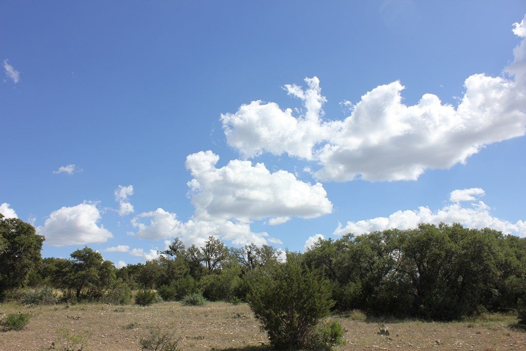 Picture 22