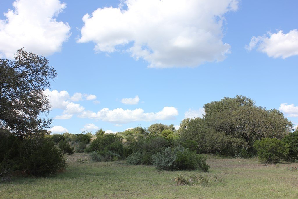 Picture 19