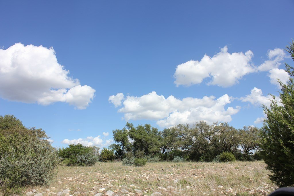 Picture 8