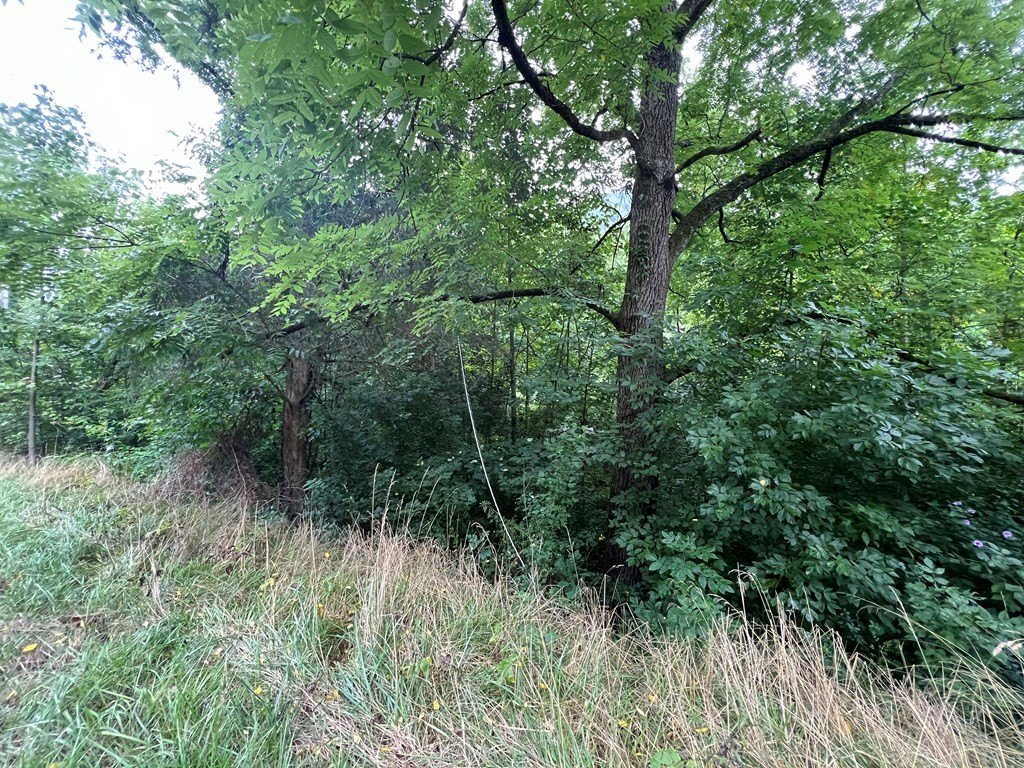 Picture 4