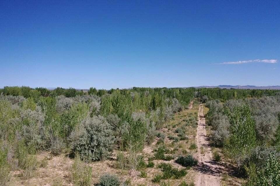 Picture 5