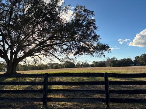 High Springs Buildable 10-Acre Lot