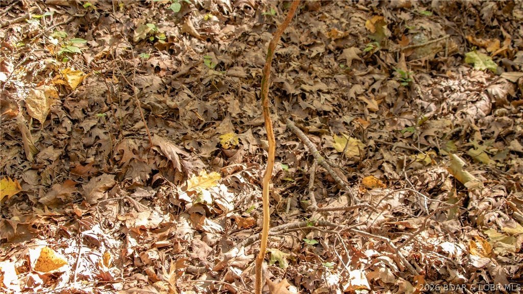 Picture 38