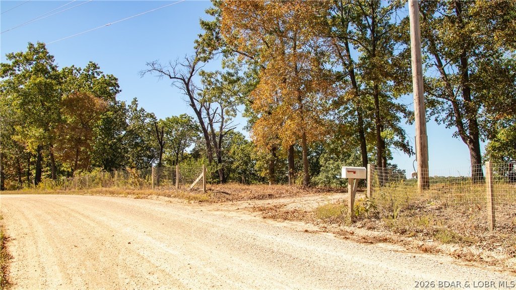 Picture 21