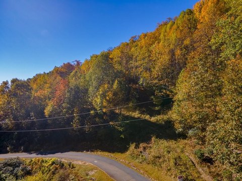 Land with Piedmont Views