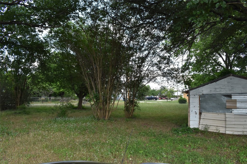 Picture 4