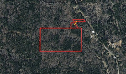Mature Timber Hunting Tract