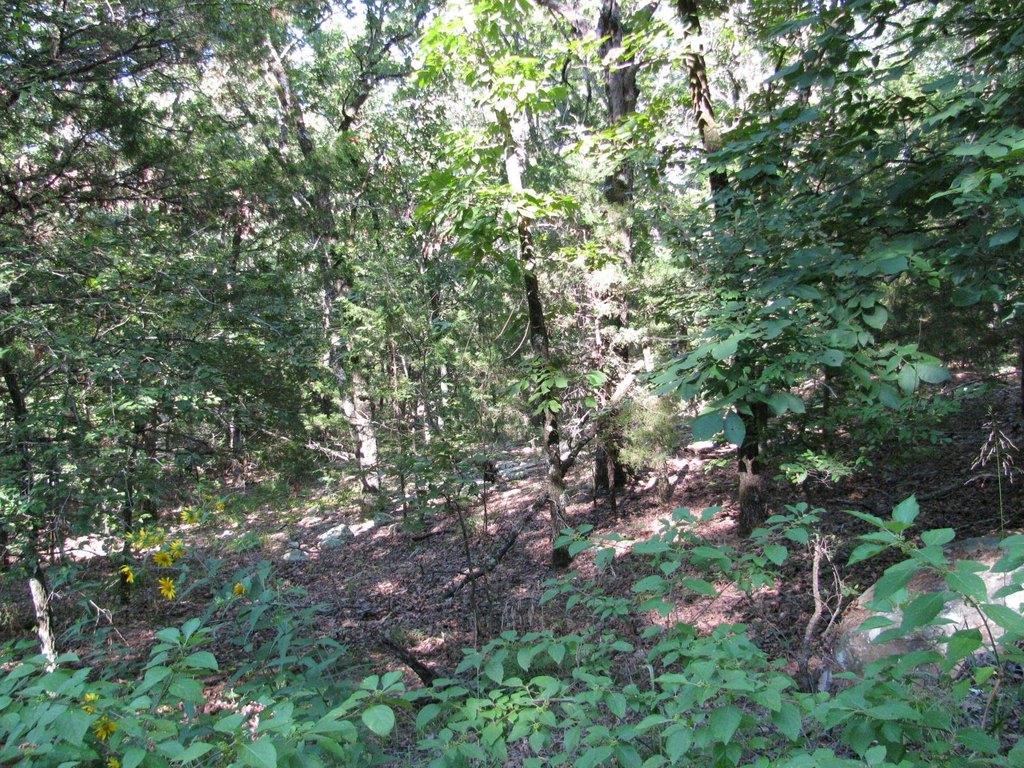 Picture 4