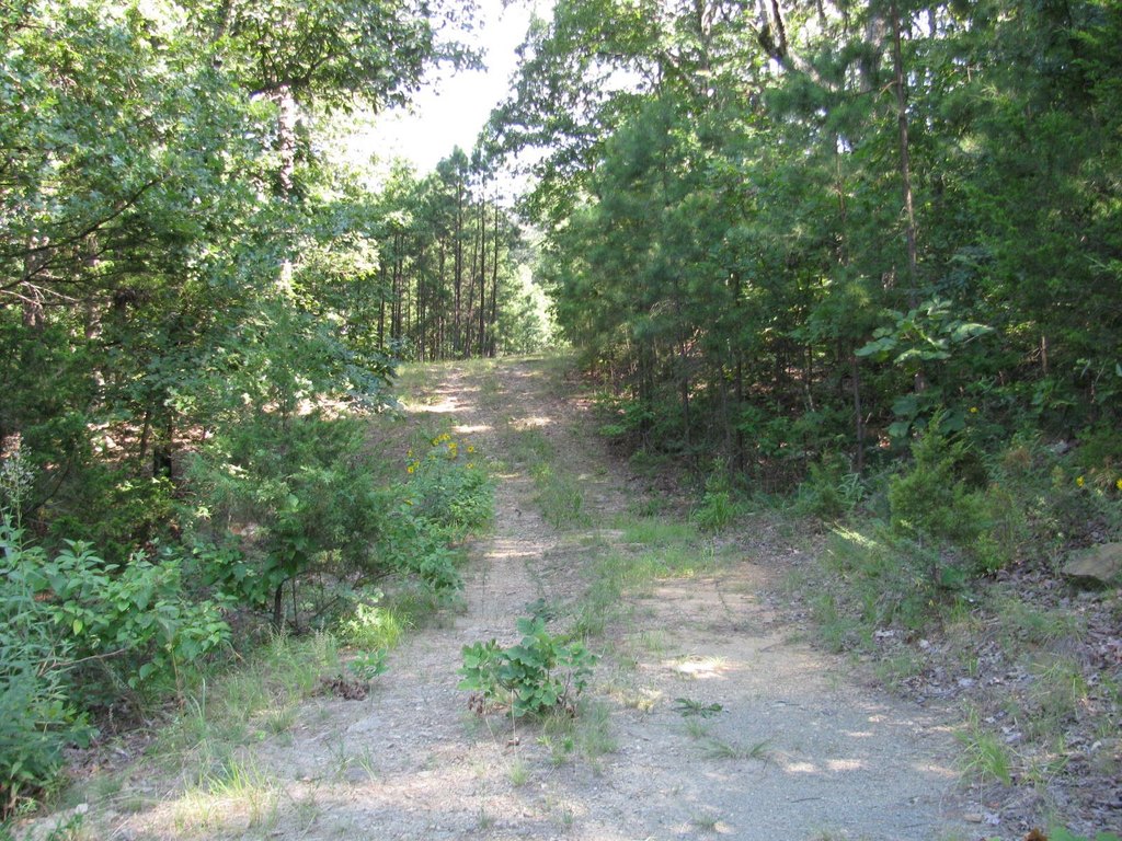 Picture 7