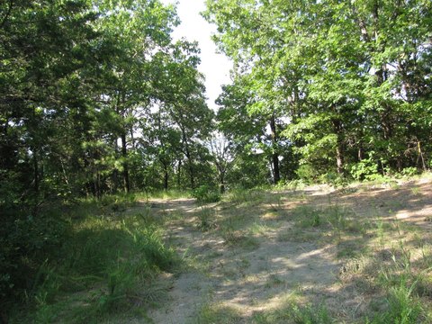 Land with Sardis Lake Views
