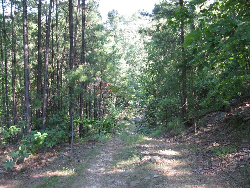 Picture 6