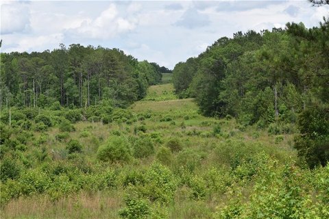 Acreage in Beauregard with Timber