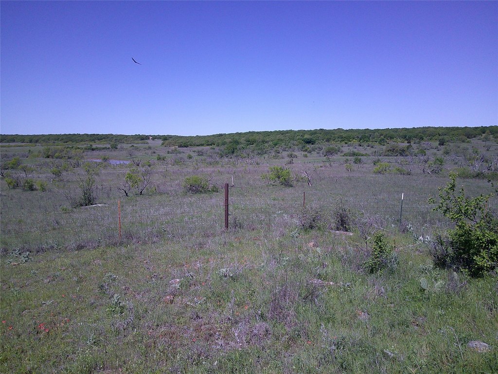 Picture 12
