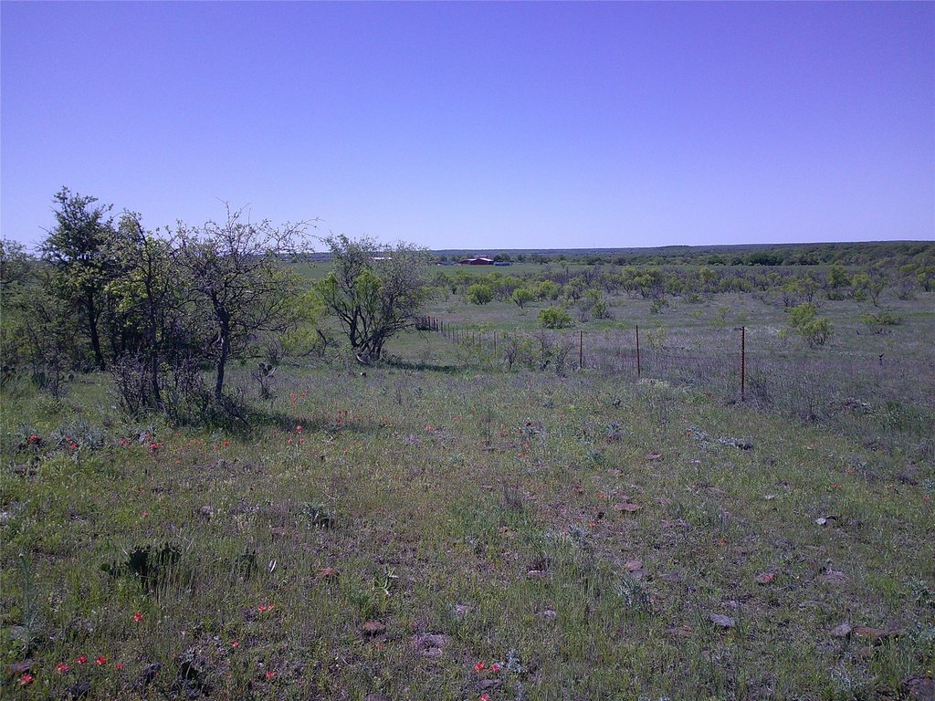 Picture 10