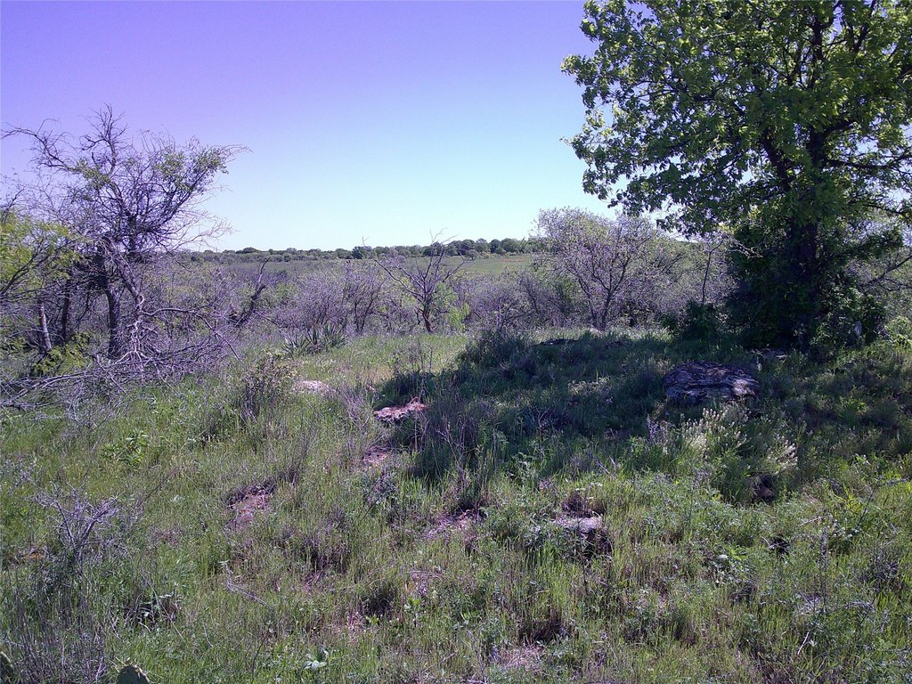 Picture 9