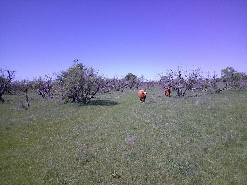 Picture 4