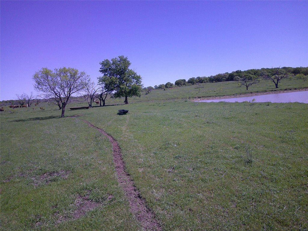 Picture 5