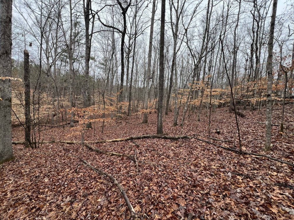 Picture 28