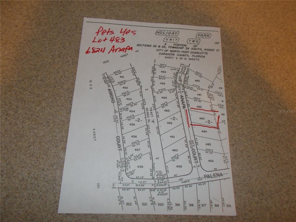 Picture 6