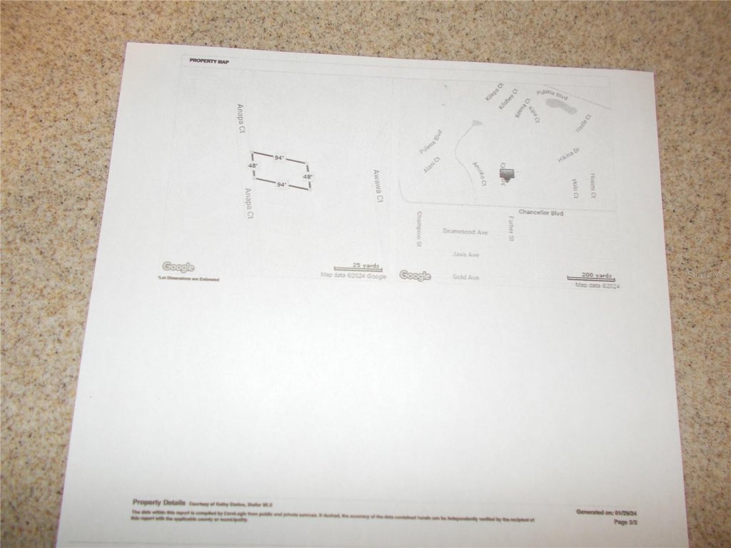 Picture 7