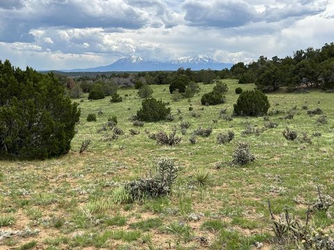 Southern Colorado Land with Mountain Views