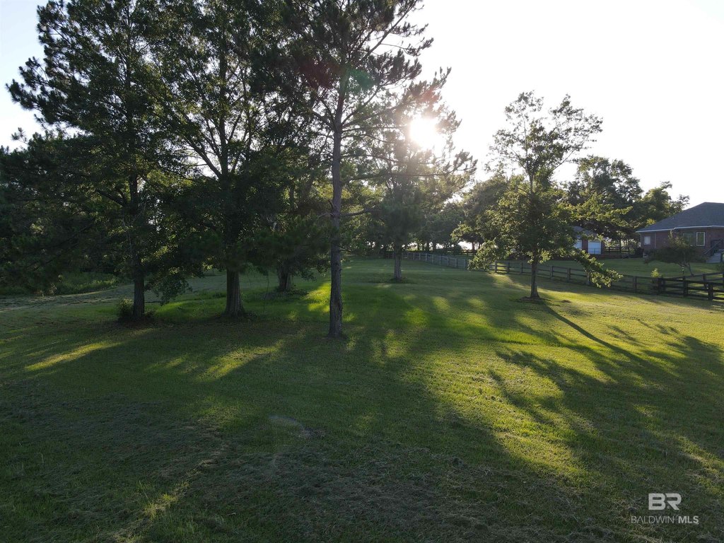 Picture 35