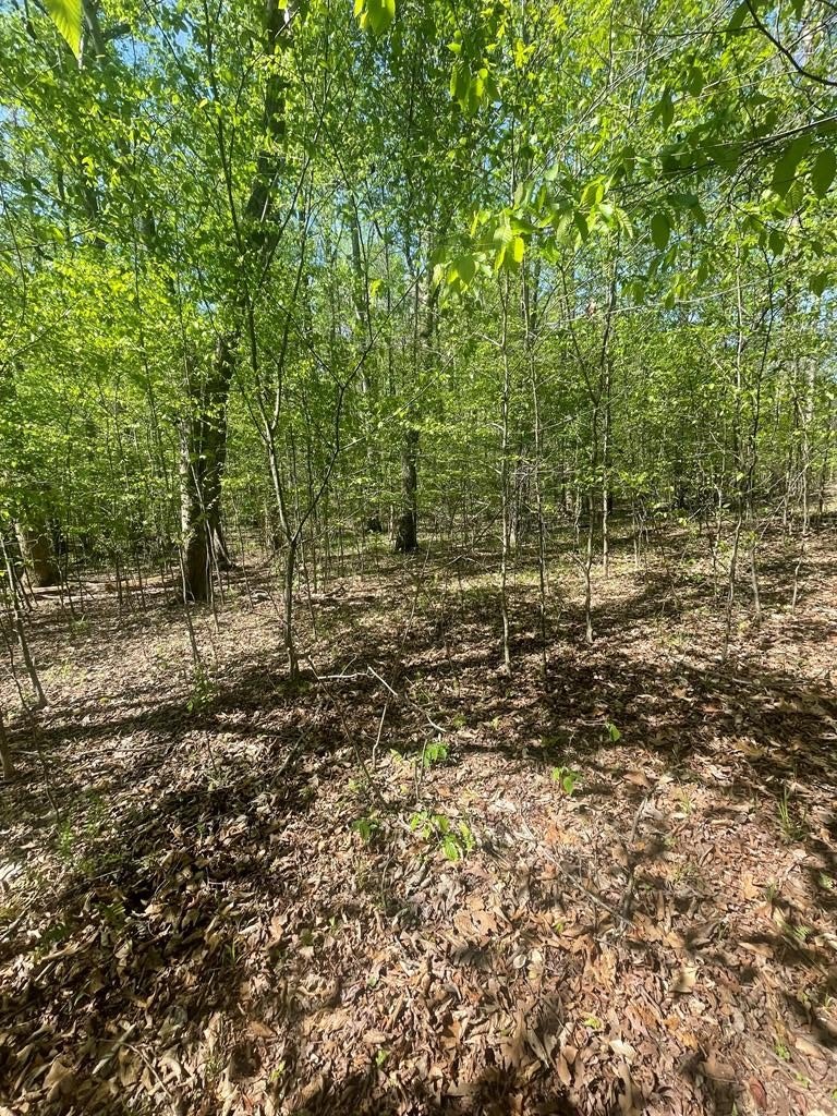 Residential Land in Gated Subdivision