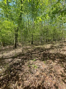 Residential Land in Gated Subdivision