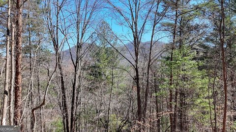 LAND - Blairsville, GA