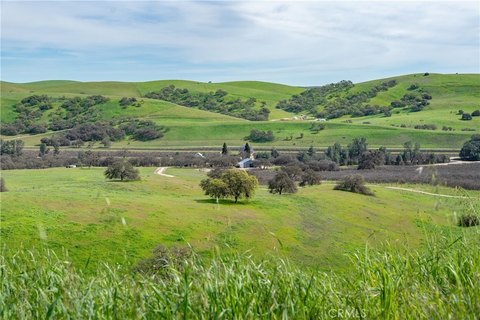 695 Acre Ranch with Airstrip
