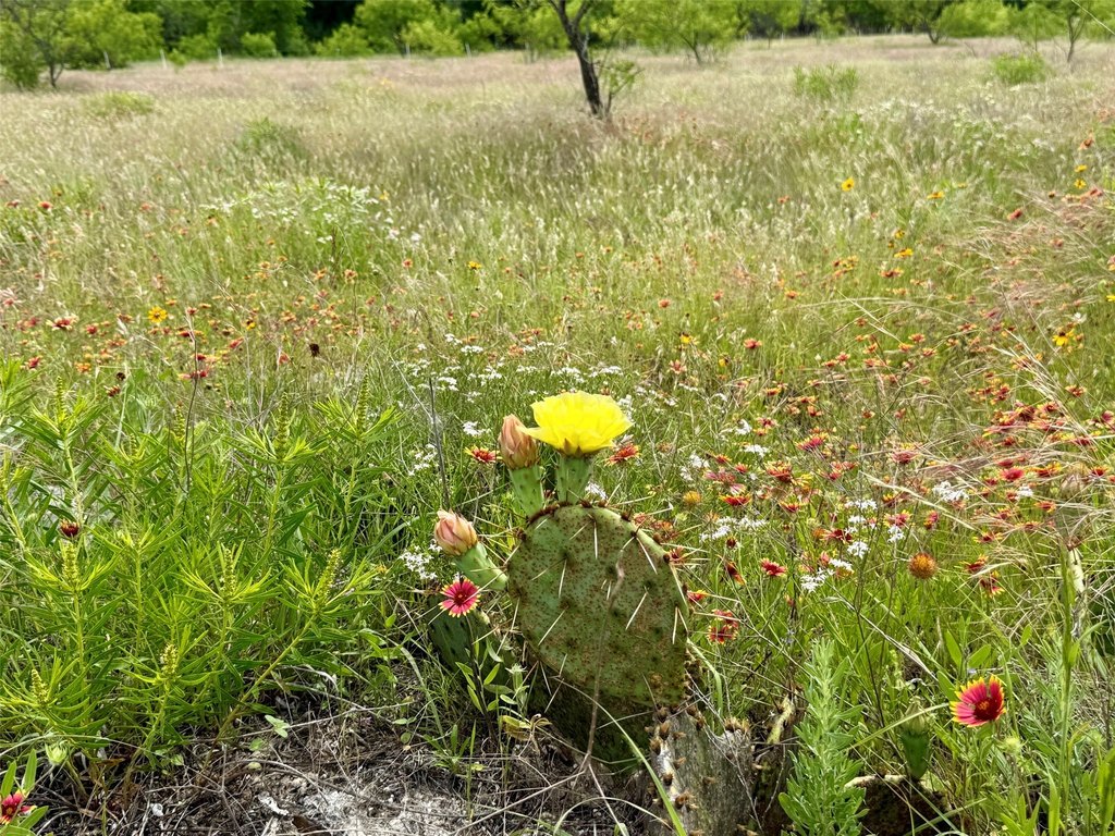 Picture 25