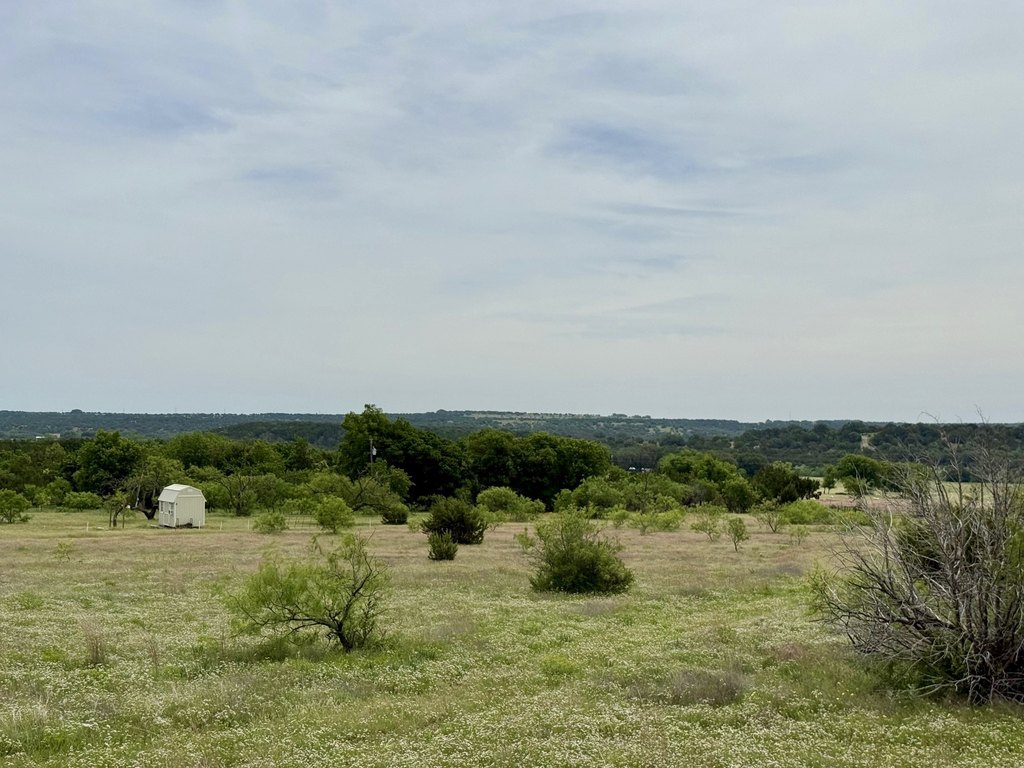 Picture 23