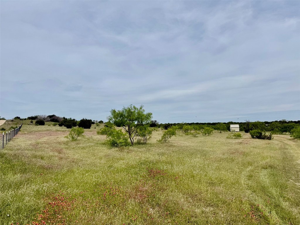 Picture 22