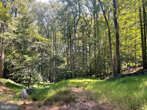 Land, GREAT FALLS, VA