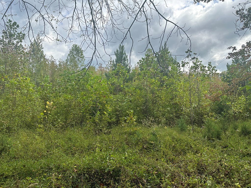 Picture 24