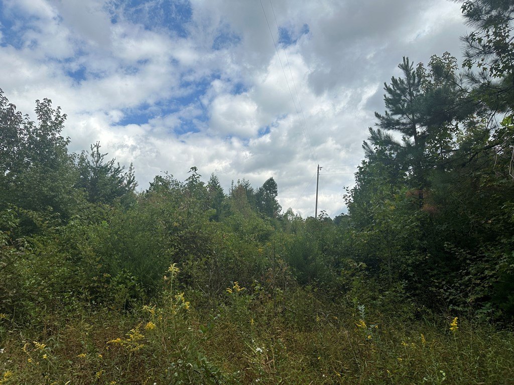 Picture 22