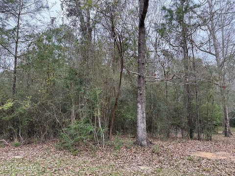 Diamondhead, MS Building Lot