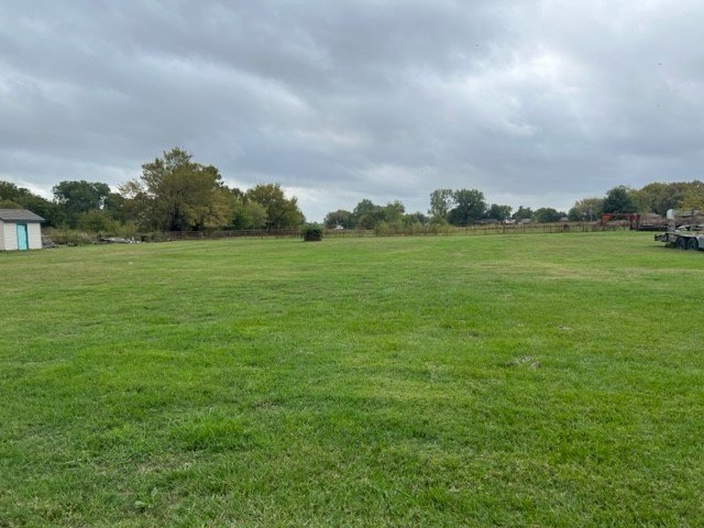 Picture 13