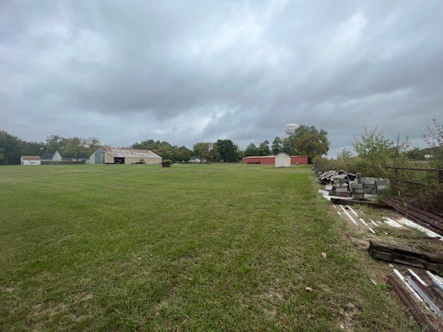 Picture 10